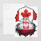 Polen Polnisch Kanadisch Kanada Baum Wurzeln Flagg Postkarte (Vorne/Hinten)