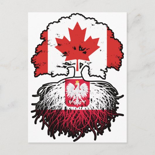 Polen Polnisch Kanadisch Kanada Baum Wurzeln Flagg Postkarte (Vorderseite)