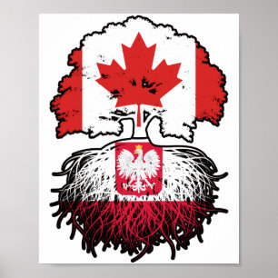 Polen Polnisch Kanadisches Treuhandflagge Poster