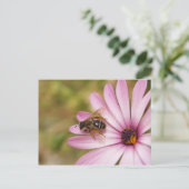 Polen Postkarte (Stehend Vorderseite)