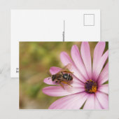 Polen Postkarte (Vorne/Hinten)