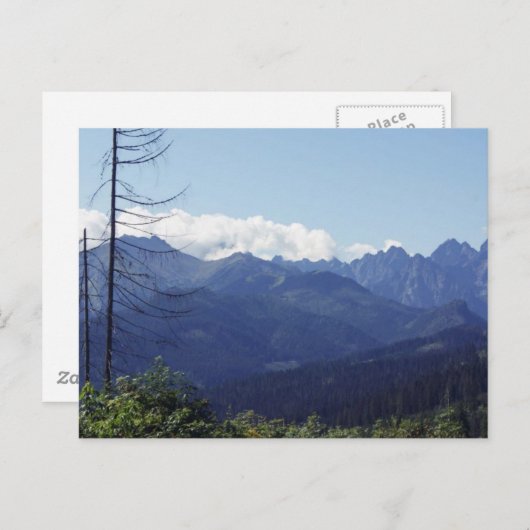 POLEN POSTKARTE (Vorne/Hinten)