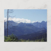 POLEN POSTKARTE (Vorderseite)