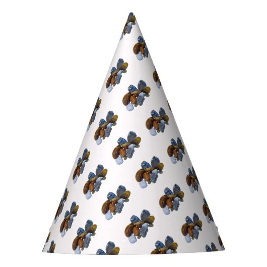 Polierte Felsen Partyhütchen (Vorderseite)