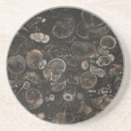 Polierter Rock Print (Turritella Agate) Untersetze Untersetzer