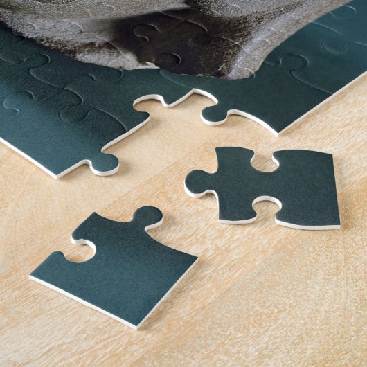 Polierter Sandsteinkopf eines Ausländers, Sarnath, Puzzle (Seite)