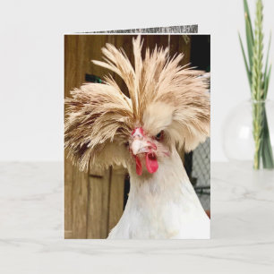 Polisches Huhn "knackiges Haar ist egal!"  5"x7"-K Karte