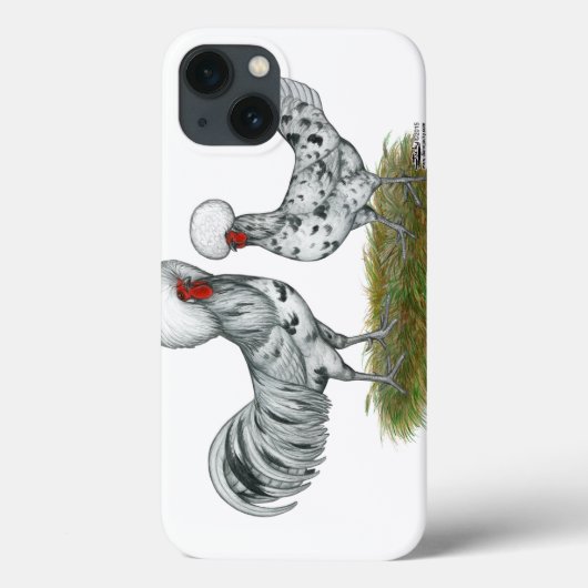 Polish Splash Chickens Case-Mate iPhone Hülle (Rückseite)