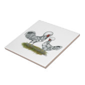 Polish Splash Chickens Fliese (Seite)
