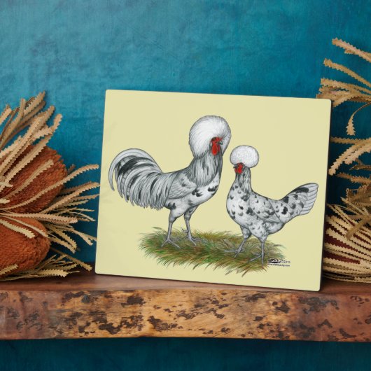 Polish Splash Chickens Fotoplatte (Seite)