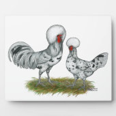 Polish Splash Chickens Fotoplatte (Vorderseite)