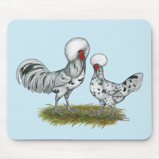 Polish Splash Chickens Mousepad (Vorne)
