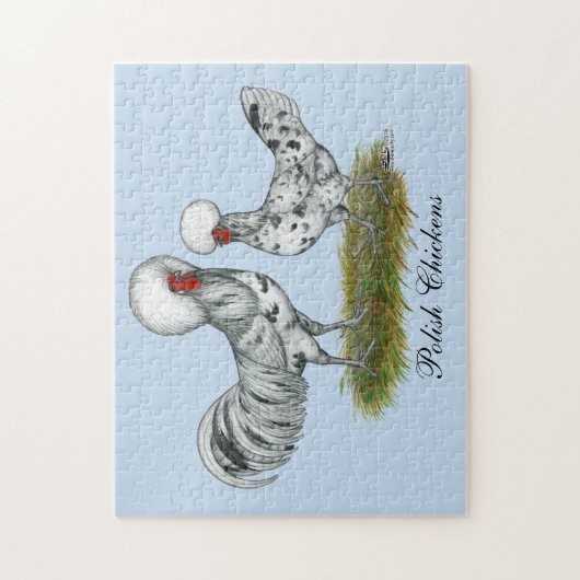 Polish Splash Chickens Puzzle (Vertikal)