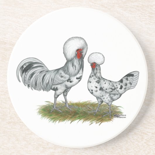 Polish Splash Chickens Untersetzer (Vorne)