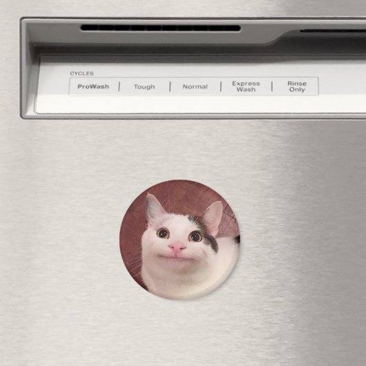 Polite Cat Meme Magnet (In Situ (Geschirrspüler))