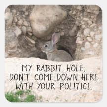 Politisches Kaninchen Hole Bunny Foto Politischer