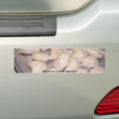 POLITUR U. PIEROGI AUTOAUFKLEBER (Auf Auto)