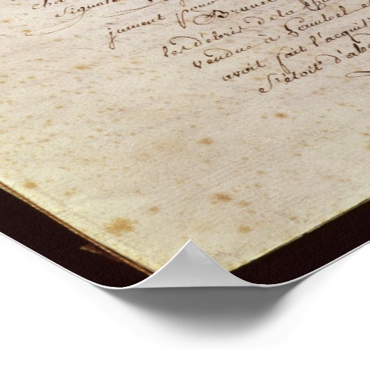 Polizeibericht des Anwesenden an Napoleon Poster (Ecke)