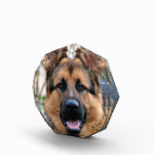 Polizeihund Fotoblock (Rechts)