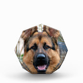 Polizeihund Fotoblock (Vorderseite)