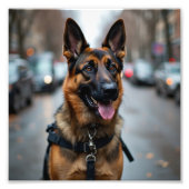 Polizeihund Fotodruck (Vorne)