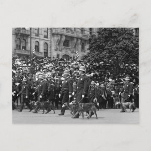 Polizeihunde auf Parade: Anfang des 19. Jahrhunder Postkarte