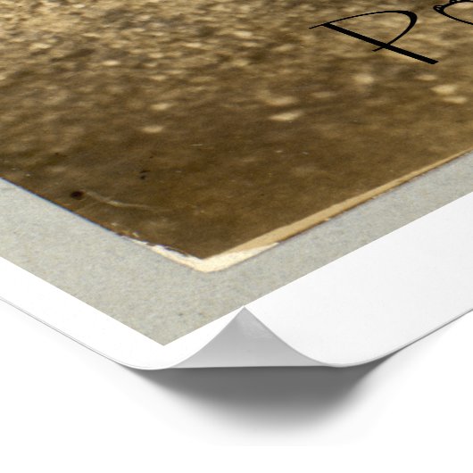 Polizistin, 1909 poster (Ecke)