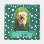 Polka Dot Arch Foto für Haustiere Magnet (Vorne)