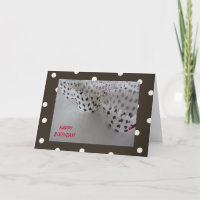 Polka Dot Birthday
