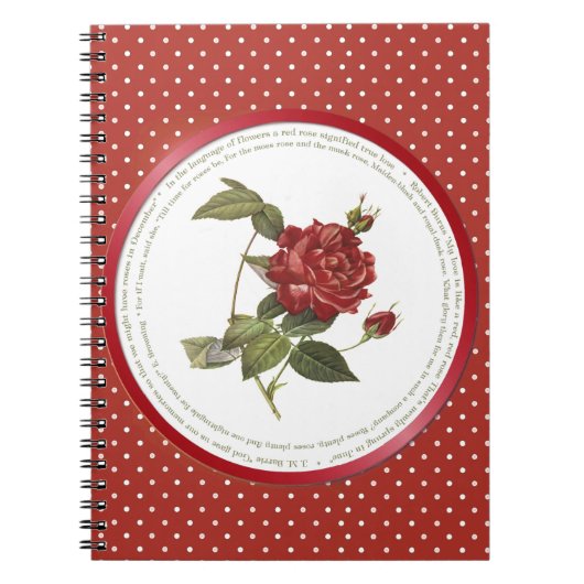 Polka Dot Blume Bedeutung - Rote Rose Notizblock (Vorderseite)