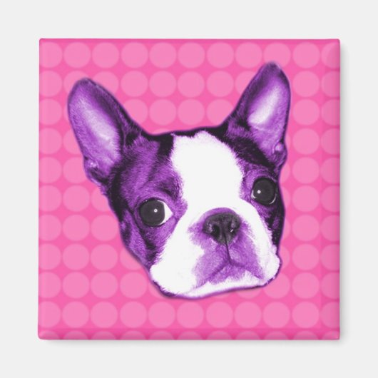 Polka Dot Boston Terrier Puppy Magnet (Vorne)