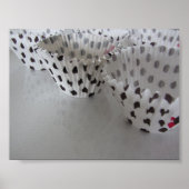 Polka Dot Cupcake Liners Poster (Vorne)