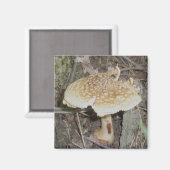 Polka Dot Mushroom Magnet (Vorderseite/Rückseite)