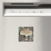 Polka Dot Mushroom Magnet (In Situ (Geschirrspüler))