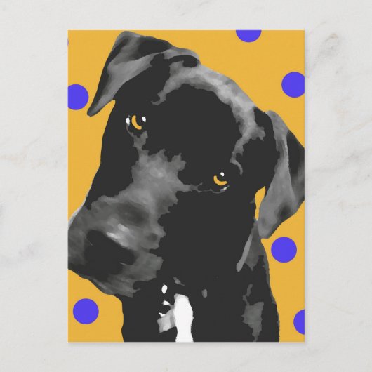 Polka Dot Postkarte (Vorderseite)