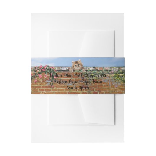 Polka-dot Street Art Scene Einladungsbanderole (Vorderseite Beispiel)