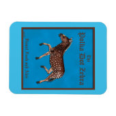 Polka Dot Zebra English Pub Magnet (Horizontal)