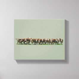 Poll Herefords Leinwanddruck