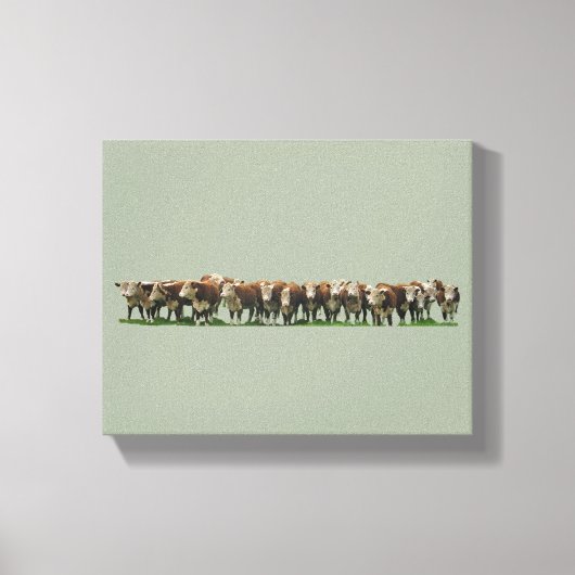 Poll Herefords Leinwanddruck (Vorderseite)