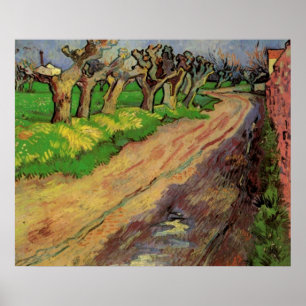Pollard Willows von Vincent van Gogh Poster