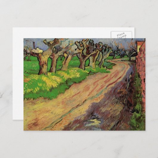 Pollard Willows von Vincent van Gogh Postkarte (Vorne/Hinten)