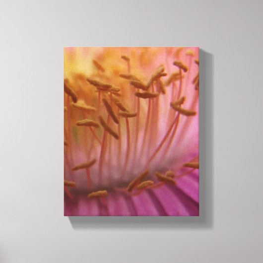 Pollen Blume Leinwand (Vorderseite)