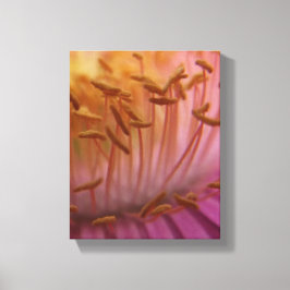Pollen Blume Leinwand