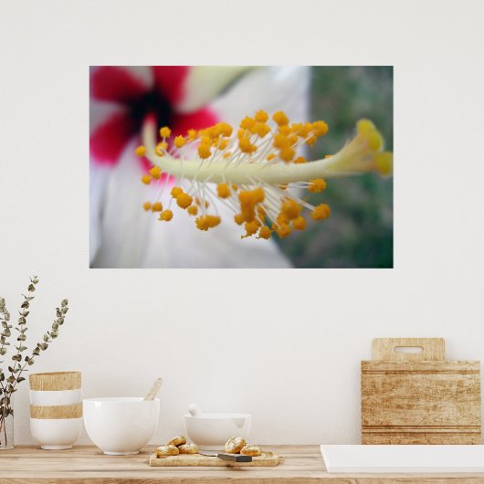 Pollen Poster (Küche)