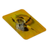 Pollenbeere Magnet (Rechte Seite)