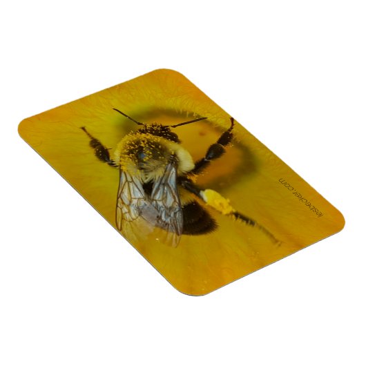 Pollenbeere Magnet (Rechte Seite)