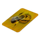 Pollenbefall Magnet (Linke Seite)