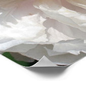 Pollenblättrige Blume aus weißem Pollen Poster (Ecke)