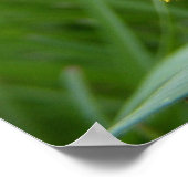 Pollenface Honeybee Poster (Ecke)