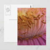 Pollenkarte Postkarte (Vorne/Hinten)